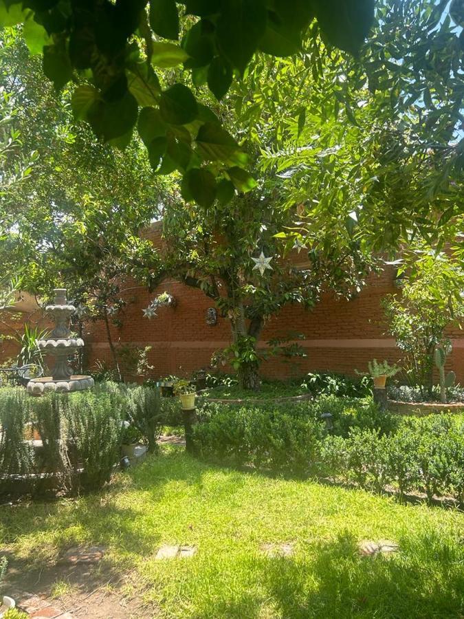 Casa Matia Bed And Breakfast San Miguel de Allende Eksteriør billede